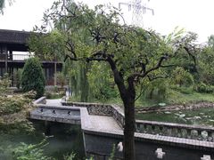 -韩湘水博园