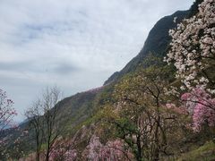 -九皇山景区