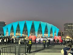 -东方体育中心(地铁站)