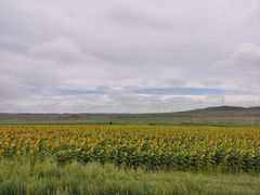 -额尔敦传统涮火锅·冰煮羊(铁东店)