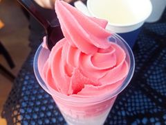 -萨朗刀克冰淇淋雪花凉(植物园店)