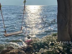 -大理洱海