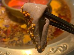 真·大刀土猪腰片-哥老官重庆美蛙鱼头(宝山龙湖店)