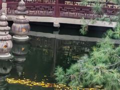 -苏州吴宫泛太平洋酒店