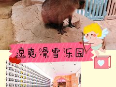 -Mr·Kuma酷么先生雪之乐园