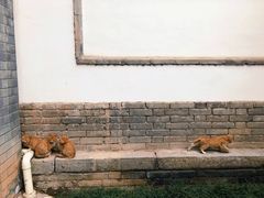 -万寿八仙宫
