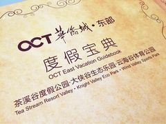 茵特拉根瀑布酒店-深圳东部华侨城瀑布酒店