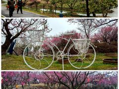 -花开海上生态园
