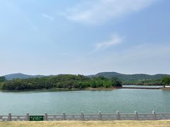 -佛手湖郊野公园