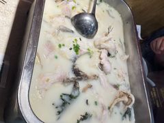 -洞庭家宴·头牌甲鱼(广渠门店)