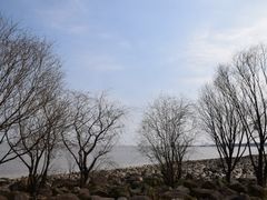 -上海吴淞炮台湾国家湿地公园