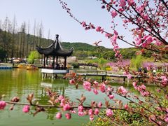 -苏州上方山国家森林公园