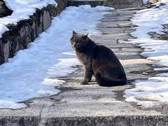 -北京凤凰岭
