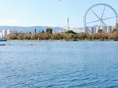 -庾园