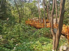 -大岭沟猕猴桃谷风景区