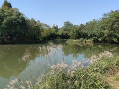 -西溪国家湿地公园