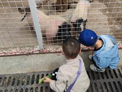 -金庭庄园酒店-停车场