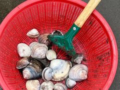 -启东黄金海滩景区