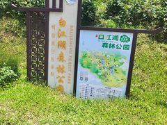 -广州白江湖森林公园