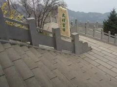 -王莽岭风景区