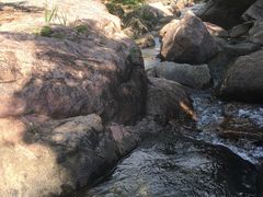 -广州白江湖森林公园