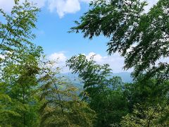 -莫干山风景区