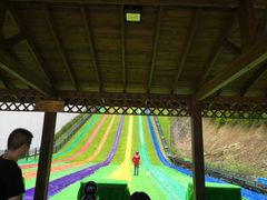 -梦幻奥陶纪景区