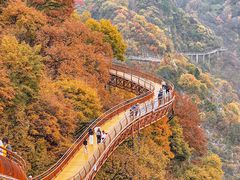 -少华山国家森林公园