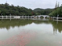 -大连植物园