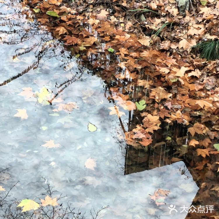 只在此山中，云深不知处