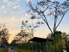 -上海长兴岛郊野公园