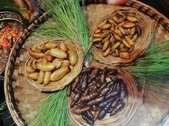 -昆虫窝子·特色云南菜(拓东路总店)