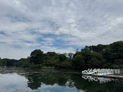 -井之头恩赐公园