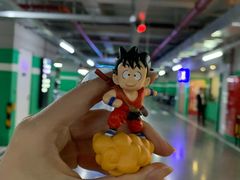 -白玉兰广场停车场