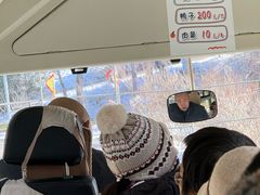 -横道河子东北虎林园