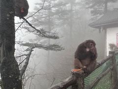 -峨眉山风景名胜区