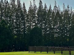 -黄海国家森林公园