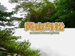 -黄山风景区