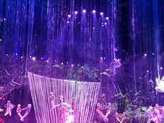 -广州长隆国际大马戏