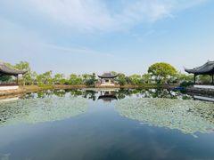 -无锡蠡湖国家湿地公园-蠡园