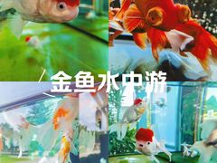 -北京市劳动人民文化宫(太庙)