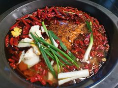 -黄潇洒老火锅(九眼桥宏济巷店)