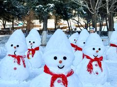 -沈阳奥体冰雪嘉年华