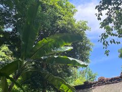 -成都杜甫草堂博物馆