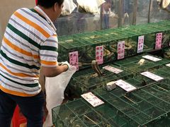 -荔城生鲜盛宴(番禺旗舰店)