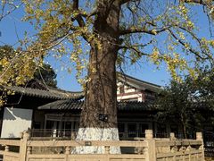 -常熟方塔园