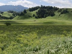 -新疆那拉提国家旅游度假区