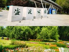 -海淀公园