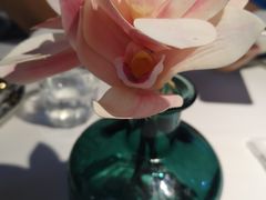 -花样西贡·蜜越餐厅·法式越南料理(水晶城店)