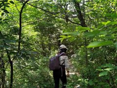 -北京鹫峰国家森林公园
